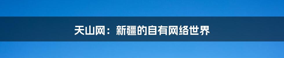 天山网:新疆的自有网络世界