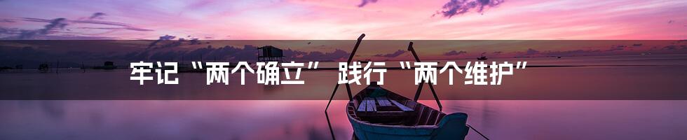 牢记“两个确立” 践行“两个维护”