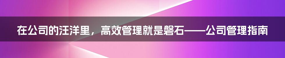 在公司的汪洋里,高效管理就是磐石——公司管理指南