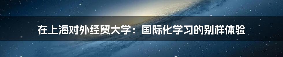 在上海对外经贸大学:国际化学习的别样体验