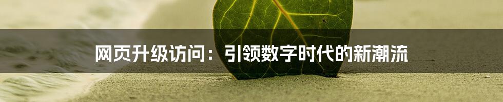 网页升级访问：引领数字时代的新潮流