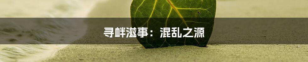 寻衅滋事:混乱之源