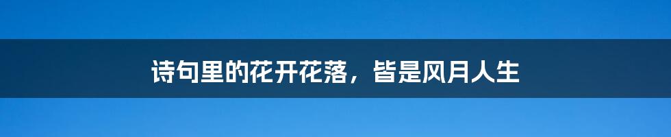 诗句里的花开花落,皆是风月人生
