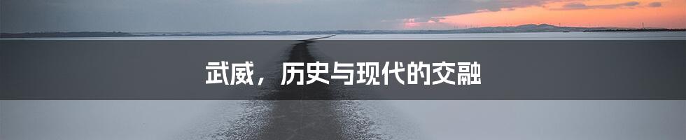 武威，历史与现代的交融