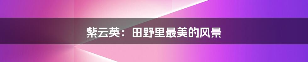 紫云英:田野里最美的风景