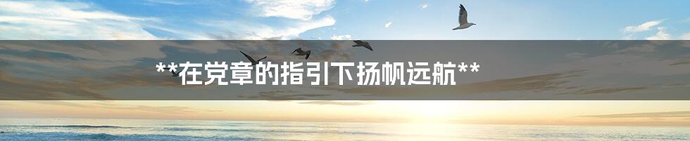 **在党章的指引下扬帆远航**