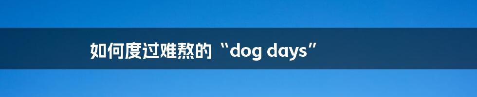 如何度过难熬的“dog days”