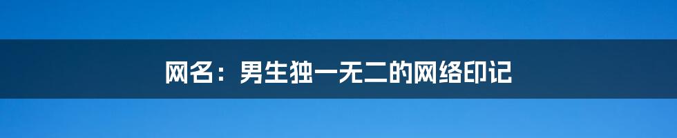 网名：男生独一无二的网络印记