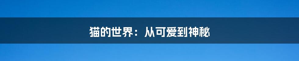 猫的世界：从可爱到神秘