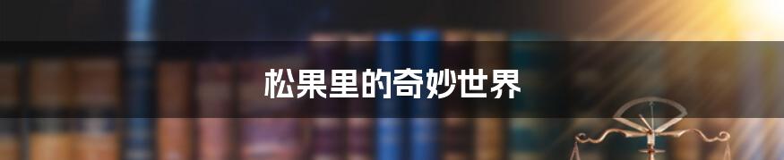 松果里的奇妙世界