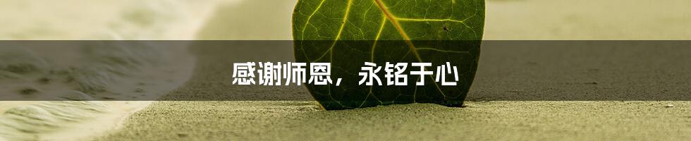 感谢师恩,永铭于心