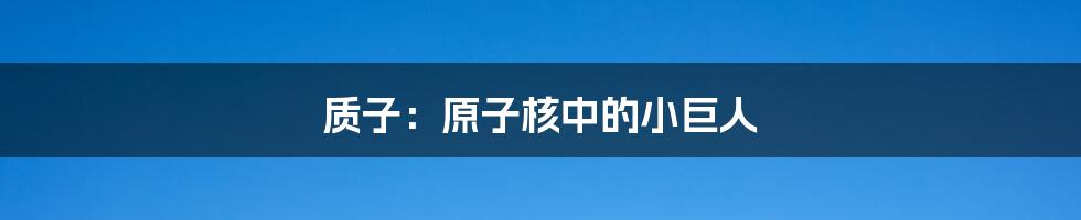 质子:原子核中的小巨人