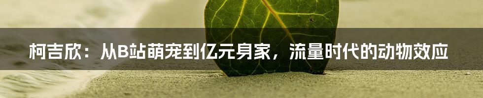 柯吉欣:从B站萌宠到亿元身家,流量时代的动物效应
