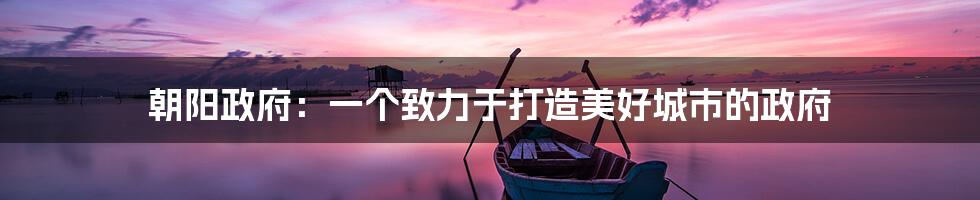 朝阳政府:一个致力于打造美好城市的政府