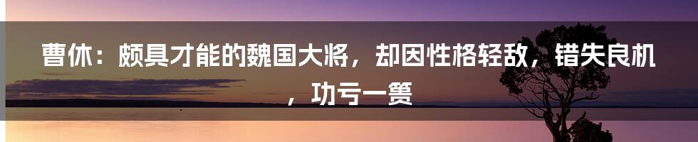 曹休:颇具才能的魏国大将,却因性格轻敌,错失良机,功亏一篑