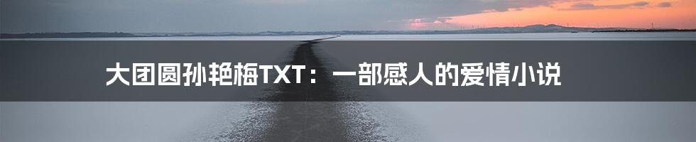 大团圆孙艳梅TXT:一部感人的爱情小说