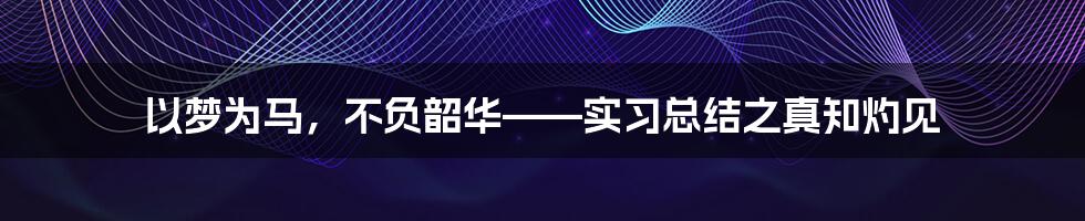 以梦为马,不负韶华——实习总结之真知灼见