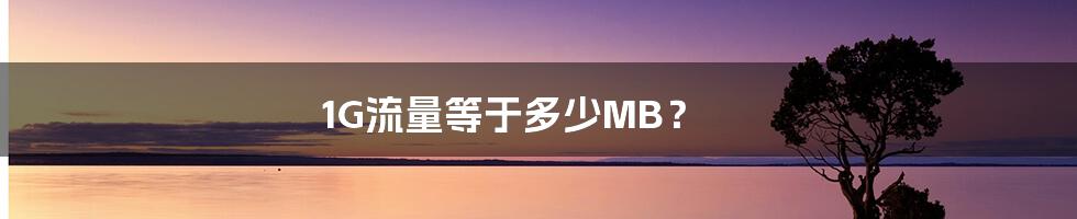 1G流量等于多少MB?