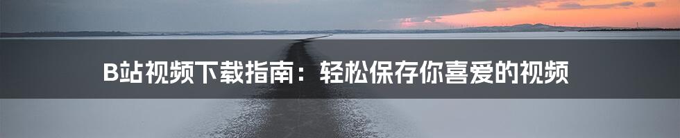 B站视频下载指南：轻松保存你喜爱的视频