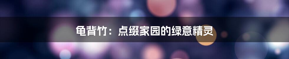 龟背竹：点缀家园的绿意精灵