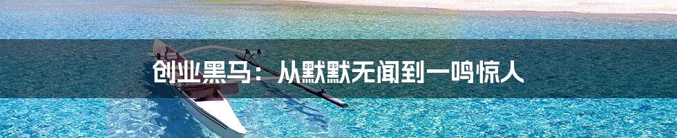 创业黑马:从默默无闻到一鸣惊人