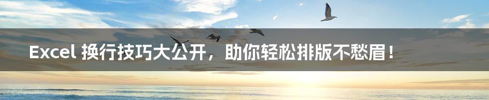 Excel 换行技巧大公开，助你轻松排版不愁眉！