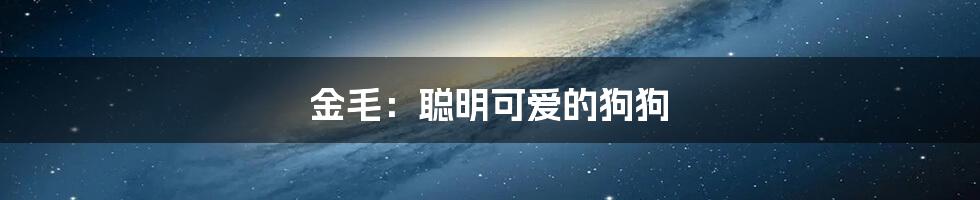 金毛：聪明可爱的狗狗