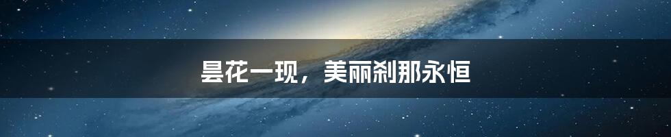 昙花一现，美丽刹那永恒