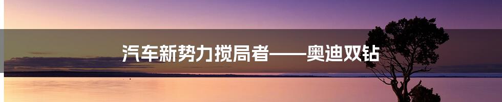 汽车新势力搅局者——奥迪双钻