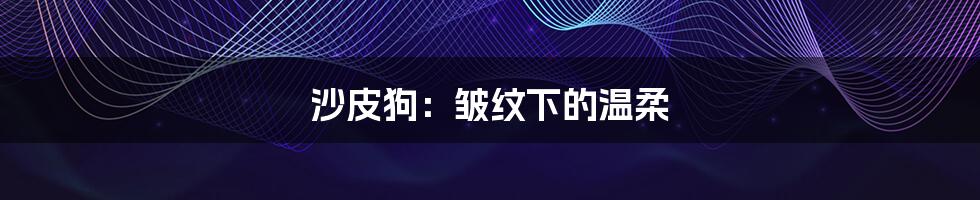 沙皮狗:皱纹下的温柔