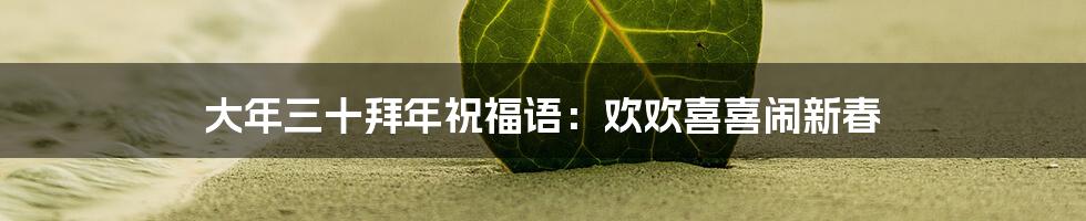 大年三十拜年祝福语:欢欢喜喜闹新春