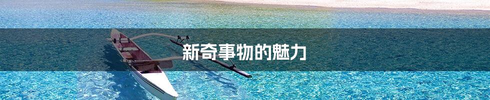 新奇事物的魅力