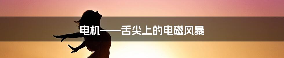 电机——舌尖上的电磁风暴