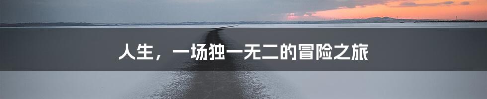 人生，一场独一无二的冒险之旅