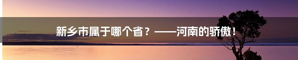 新乡市属于哪个省？——河南的骄傲！