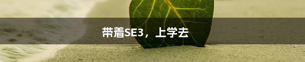 带着SE3，上学去