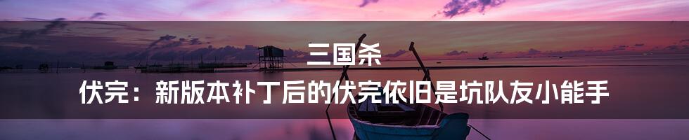 三国杀 伏完:新版本补丁后的伏完依旧是坑队友小能手