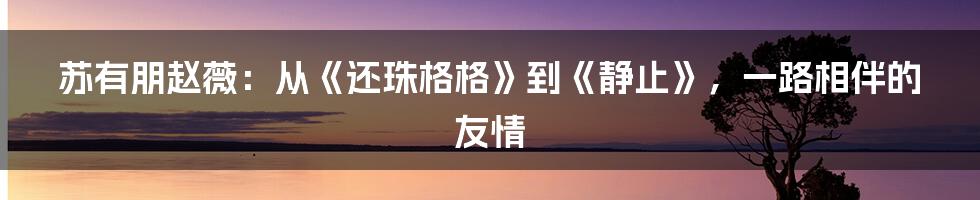 苏有朋赵薇：从《还珠格格》到《静止》，一路相伴的友情