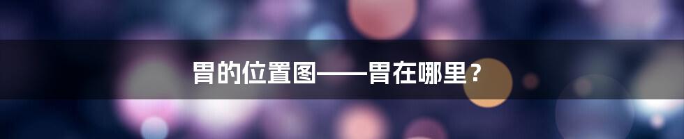 胃的位置图——胃在哪里？