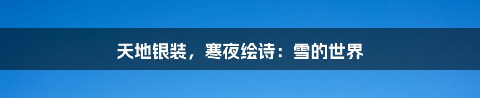 天地银装,寒夜绘诗:雪的世界