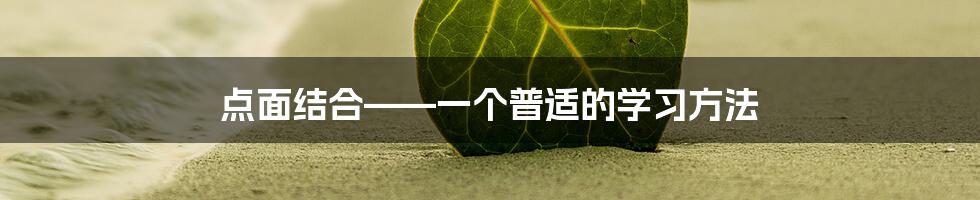 点面结合——一个普适的学习方法