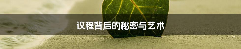 议程背后的秘密与艺术
