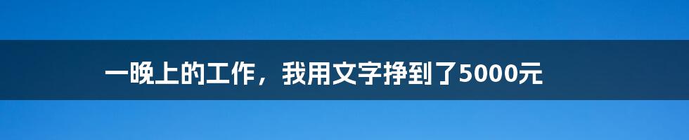 一晚上的工作,我用文字挣到了5000元