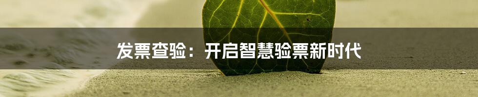 发票查验：开启智慧验票新时代