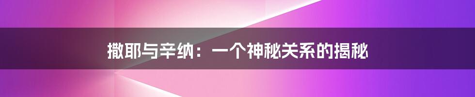 撒耶与辛纳：一个神秘关系的揭秘