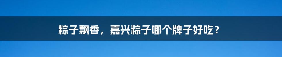粽子飘香，嘉兴粽子哪个牌子好吃？