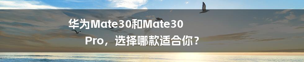 华为Mate30和Mate30 Pro，选择哪款适合你？