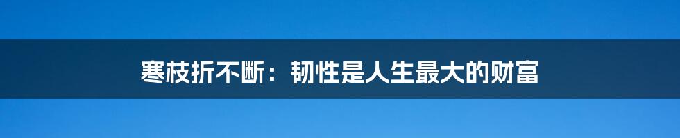 寒枝折不断:韧性是人生最大的财富