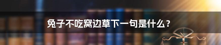 兔子不吃窝边草下一句是什么？