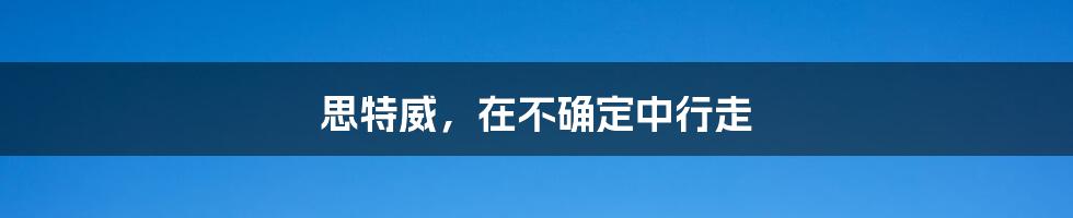 思特威，在不确定中行走